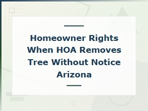 Hoa Tree Removal Dispute Letter – Arizona Homeowner Rights