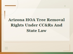 Arizona Hoa Tree Removal Rights and Disputes