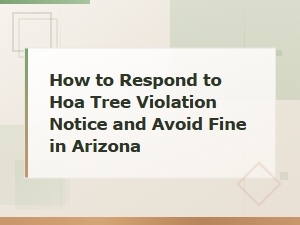 How to Respond to an Hoa Tree Violation Notice in Arizona