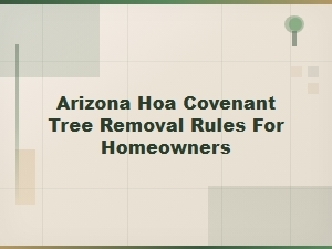 Arizona Hoa Tree Removal Rules for Homeowners