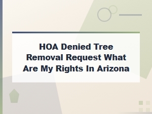 Arizona Hoa Tree Removal Denial Your Legal Rights